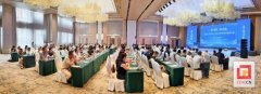 规模化、专业化利用AI东西